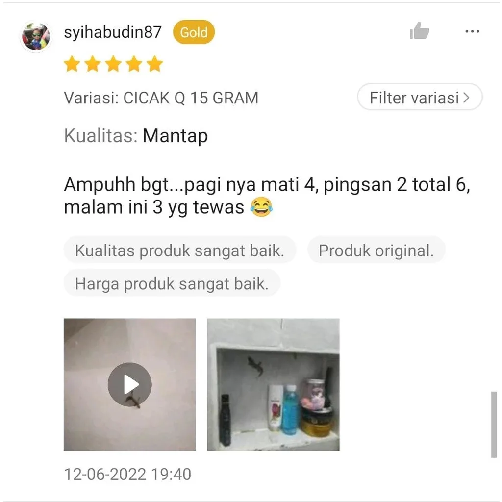 Foto 5